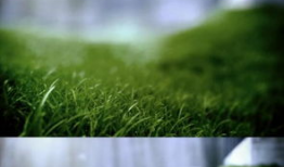 绿色视频,探索环保与可持续发展的视觉之旅