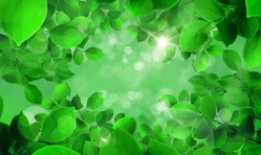 绿色视频,探索环保与可持续发展的视觉之旅