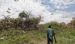 寸草不留,荒芜之地的重生与希望