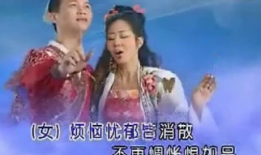 双飞视频,揭秘空中浪漫之旅的精彩瞬间